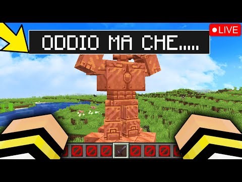🔥 NON DOVEVO FARLO.. nel MIO MONDO di MINECRAFT!!