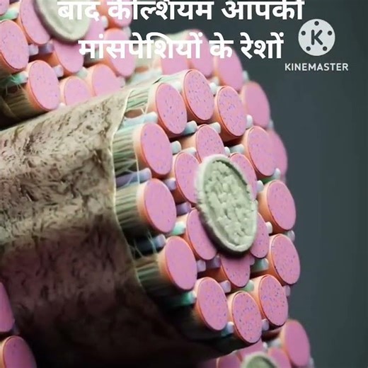 #viral fact #human body fact