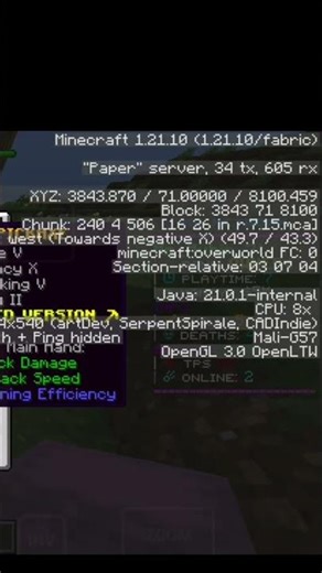 🐐 Join Best Lifesteal Public Smp Server For Minecraft 💯 | Java + PE | 24/7 Online | Free To Join 🎗️