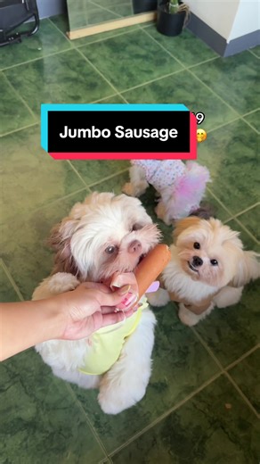 Premium Quality Jumbo Pet Sausage for Dogs