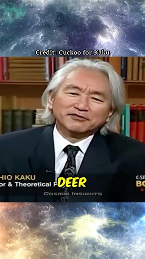 Who Should a Deer Fear More? | Michio Kaku