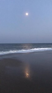 George Bailey : What is it you want, Mary? What do you want? You want the moon? Just say the word and I'll throw a lasso around it and pull it down. (It’s a Wonderful Life) | The Beach Is My Happy Place