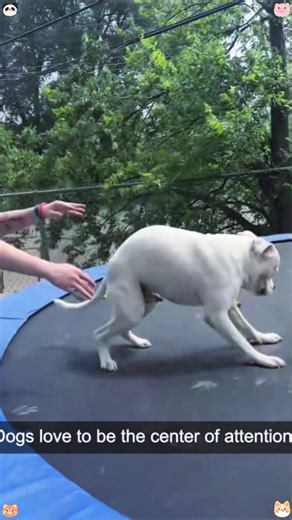 Funny prank #foryou #funny #fyp #prank #usa