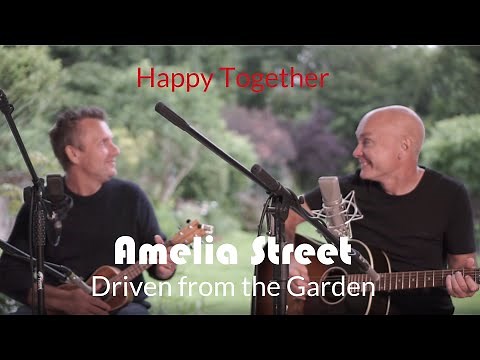 Happy Together - The Turtles - Acoustic Cover