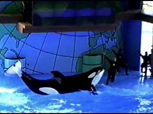 A Look Back at Sea World of Ohio (1996)