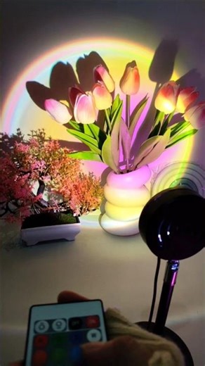 16 in 1 Sunset Lamp #sunsetlamp #lamp