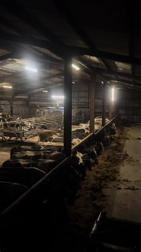 Explore Littlemount Farms: A Journey Through Farming