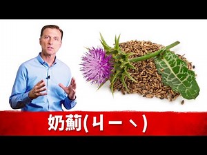 保健肝,膽的神奇奶薊(Milk Thistle)草藥,自然療法,柏格醫生 Dr Berg (210105)