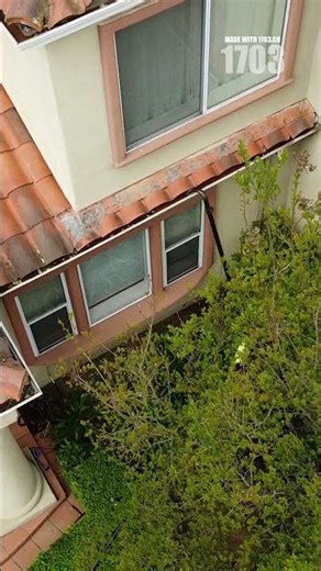 Roofing Essentials: What Every Homeowner Should Know