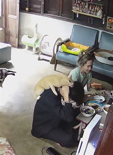 ตอบกลับ @jojowei57