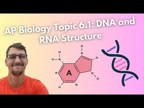 (2019 curriculum) 6.1 DNA and RNA Structure - AP Biology