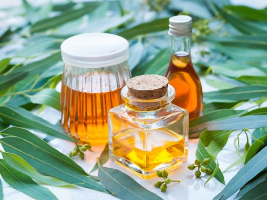 7 Health Benefits of Eucalyptus Oil | Organic Facts