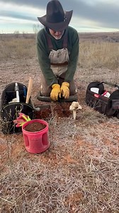 240K views · 1.2K reactions | Pine Hollow Trapping and Supplies on Reels | Facebook