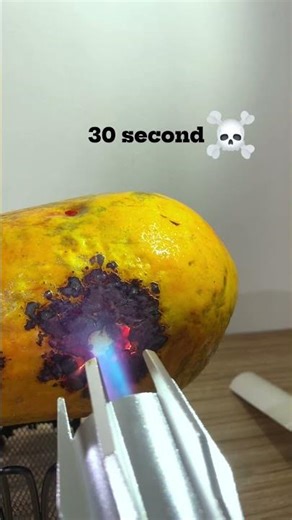 What Happens When You Torch Papaya ?