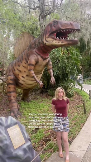 There are over 200 life sized dinosaur sculptures in the park and several smaller museums and exhibits just 25 minutes outside of Tampa #tampa #tampabay #tampafl #dadecity #tpa