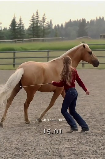 Heartland: Temporada 15 - Ediciones y Escenas Destacadas
