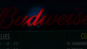 Florida man vandalizes Wrigley Field video board | Chicago Cubs