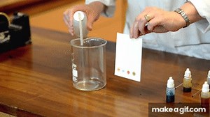 Chromatography - GCSE Science Required Practical on Make a GIF