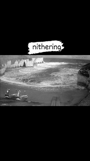 15K views · 322 reactions | North Landing Boat Tours and Fishing Trips on Reels | Facebook