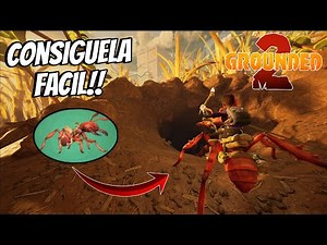 How to Get the Ant Mount in Grounded 2 - Soldier Ant Egg Location...