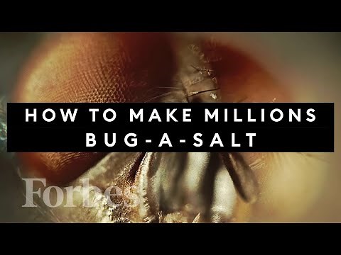 How Bug-A-Salt Went From Gimmick To Big Business | Forbes