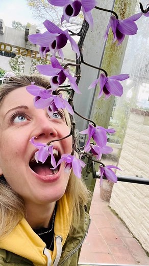 Nicki Clyne on Instagram: "Mr. Rogers knows the deal  Never stop wondering! #flowers #botanicalgardens #wonder #beauty #flowerphotography #gardendesign #orchids"
