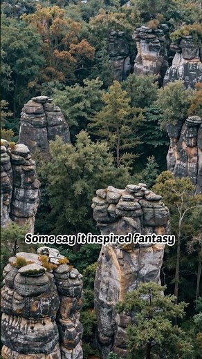 16 March 2026 Puzzlewood: The Magical Forest in the UK That Looks Unreal 🌿