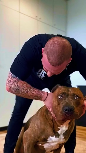 ASMR QUIROPRAXIA no TikTok