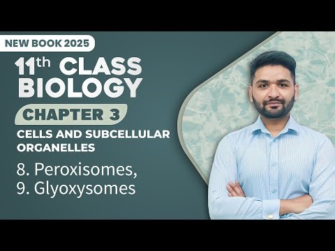 11th Class Biology Chapter 3 | Peroxisomes, Glyoxysomes | Class 11th New Book 2025