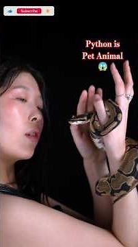 Are Python Pet Animals 😱🤔#facts #faxwala #python