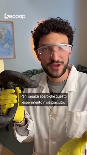 Serpente di Fuoco: Esperimento con Zucchero e Bicarbonato