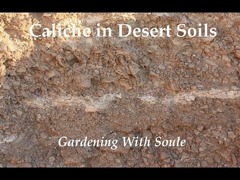 Southwest Desert Soils and Caliche