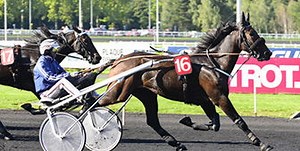 Pronostic Quinté du Lundi 4 décembre - Prix des Alpes - R1C1