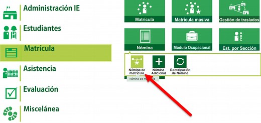 Nómina de Matrícula 2024 - SIAGIE Perú