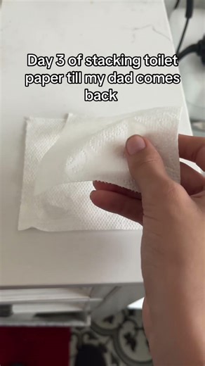 Day 3 of stacking toilet paper till my dad comes back