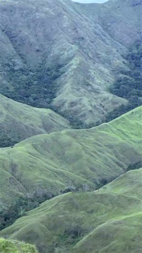 1.1K views · 12 shares | Licensure Examination Reviewer for Teachers  #letexamreviewer #EducationForAll #generaleducation #CareerGrowth | Your LET Reviewer | Facebook