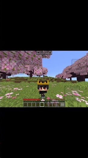 Poi poi poi In Minecraft #minecraft #poi #viral #tranding