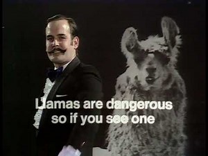 Monty Python ¡CUIDADO La LLAMA!