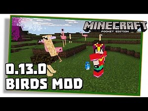 Minecraft PE 0.13.0: ARMADURA E MUITOS PÁSSAROS FOFOS! - (Birds mod / Pocket Edition / MCPE)