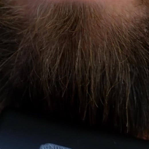 Do you want a sharper, better-looking beard? Black Friday is the perfect time to make it happen!🖤 Click "Read More" to discover your game-changer 👉 A messy beard can send the wrong message—making you look unorganized or lazy, costing you confidence, opportunities, and more. But with the Beard Forger, you can upgrade your beard game in under a minute! ✔️ Heat & Ionic Technology: Straightens curls and flattens stray hairs. ✔️ Cordless Power: Strong dual batteries tame even the wildest beards. ✔️