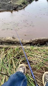 Adakah lawannya mun ulihan kaya ini? Nyaman diulah papuyu baubar sambal mangga minumnya ti es... homaaa.... Video/TT: Mirli rahman #Kalseltoday | Wargabanua News