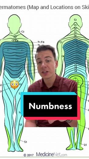 Dr. Dan, DPT on TikTok