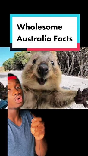 10 Amazing Facts About Australian Wildlife You Need to Know