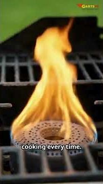 How a Gas Grill Pressure Regulator Works and Why It Matters - PartsFe