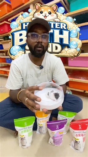 🐹🔥 Why Every Hamster Needs a Sand Bath 😍 GLM Exotic Pets #shorts #chennai #hamsters
