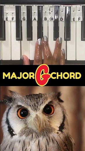 Learn How to Play G Major Chord