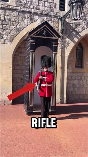 royal gaurds are INSANE!!! 👀😱