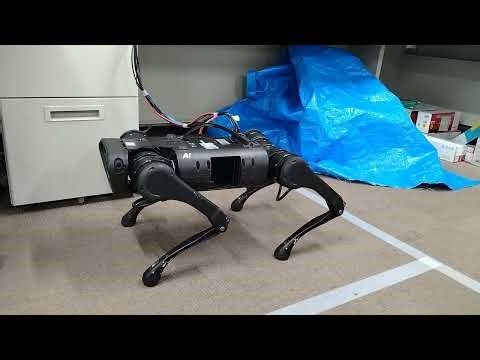 Two-leg balancing of a Unitree A1: 2026/04/18