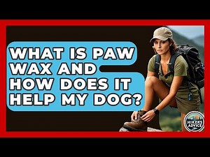 What Is Paw Wax And How Does It Help My Dog? - The Hiker's Advice