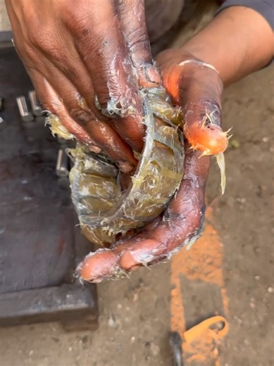 Front Wheel Bearing Grease: An Satisfying Restoration